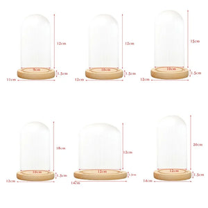 Glass Dome Wooden Base Container Tabletop Display Glass Cover Dry Flower Ornaments Craft Dust Bell Jar Terrarium Landscape Vase