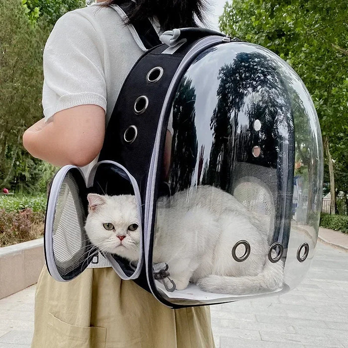 Cat Pet Carrier Backpack Transparent Pet Backpack Small Animal Puppy Kitty Bird Breathable Pet Carrier for Travel