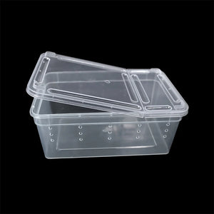 1pc Terrarium for Reptiles Spider Transparent Plastic Feeding Box Insect Lizard Beetle Transport Breeding Food Rearing Container