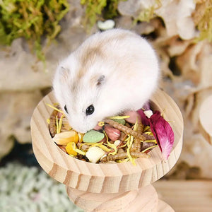 Small Pet Round Food Bowl Anti-turning Natural Wooden Feeding Bowl Landscaping Supplies For Squirrel Hedgehog Hamster Rodent