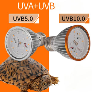 Full Specstrum UVA UVB Reptile Heat Lamp LED UV Lamp for Turtle Lizard Snake Heater Bulb Terrarium Lamp Tortoise 파충류 사육장