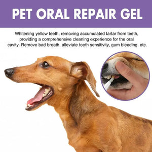 6ml Pet Teeth Cleaning Gel For Cats Dogs Teeth Cleaner Tartar Remover Oral Care Health Solution Pet Supplies