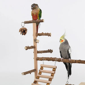 Hotsale Bird Swing Toy Wooden Parrot Perch Stand Playstand With Chewing Beads Cage Playground Bird Swing Toy Wooden Parrot Perch