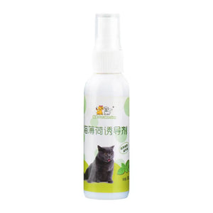 50ml Natural Health Safety Cat Mint Inducer Mint Spray Fresh Toy Spray Cat Training Inducer Cat Breathing Products P4Z9