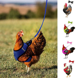 1 Set Chicken Harness  Wearable Poultry Soft Safety Harness  Unisex Duck Leash