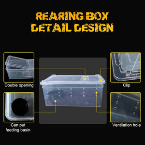 1pc Terrarium for Reptiles Spider Transparent Plastic Feeding Box Insect Lizard Beetle Transport Breeding Food Rearing Container