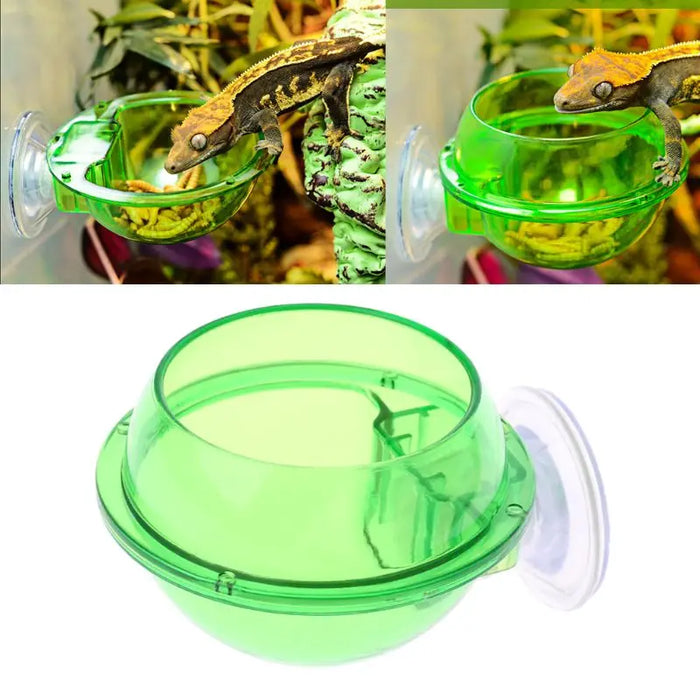 Anti-Escape Reptiles Feeder Bowl For Tortoise Iguana