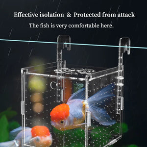 Fish Tank Small Fry Breeding Box Acrylic Fish Isolation Box Spawning Hatching Room Fish Supplies Aquarium Accessories