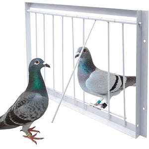 30/40*26cm Pigeon Entrance Door Metal Wire Bars Frame Single Entrance Trapping Doors Cage Pigeon Racing Supplies for Bird Cages