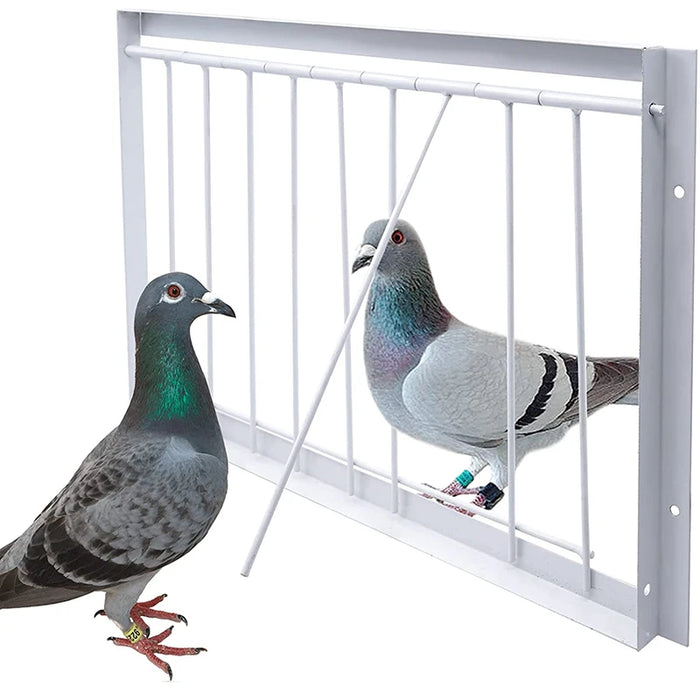 30/40*26cm Pigeon Entrance Door Metal Wire Bars Frame Single Entrance Trapping Doors Cage Pigeon Racing Supplies for Bird Cages