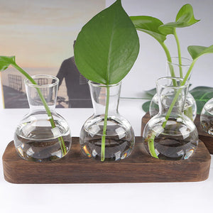 Hydroponic Plants Container Plant Glass Test Tube Terrariums Vase in Wooden Stand Flower Pots Hydroponic Plants Test Tube Vase