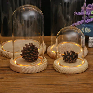 Tabletop Display Glass Cover Terrarium Container Decor Dry Flower Ornaments Craft Bell Jar Wood Base with Feet LED Light Holder