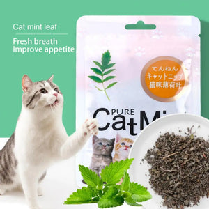 Natural Premium Catnip Cattle Grass Interactive Cat Non-toxic 5g Menthol Flavor Funny Cat Supplies Keep Pet Health Cat Toy