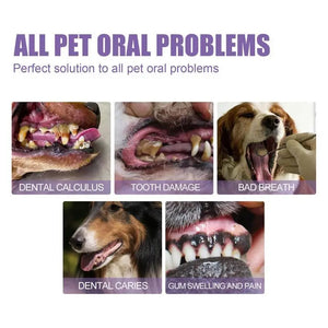 6ml Pet Teeth Cleaning Gel For Cats Dogs Teeth Cleaner Tartar Remover Oral Care Health Solution Pet Supplies