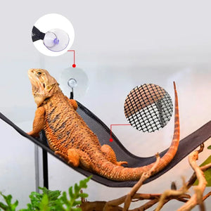 1pc Bearded Dragon Hammock Lizard Ladder Hanging Swing Toys with Suction Cups for Lizard Snake Chameleon Reptile Habitat Decors