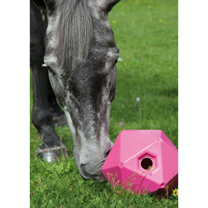 Horse Treat Ball Equine Hay Feeding Toy for Horse Stable Stall Paddock blue