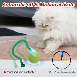 New Cat Rolling Ball Interactive Toy Motion Activated Automatic Moving Ball Toy with Long Tail Teaser Simulation Bird Sound