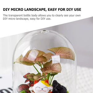 Micro Landscape Vase Glass Lid Dome Cover Moss Bottle Succulent Plants Ecological Bell Jar Terrarium Display