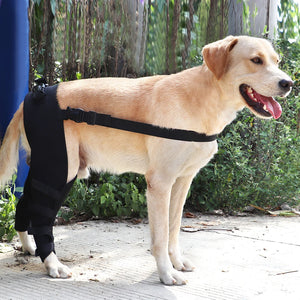 Dog Leg Brace Pet Knee Pads Dog Legs Support Injury Recover Protector Wounds Surgical Joint Wrap Recovery Sleeve Pet Accessories