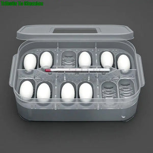 Practical Plastic 12 Grids Plastic Reptiles Egg Incubator Tray Lizard Snake Eggs Hatcher Box Incubation Tool Terrariums HOT!