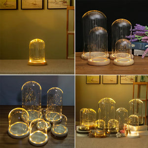 Glass Dome Wooden Base With LED Light Birthday Gift Bedroom Decor Glass Cover Landscape Vase Terrarium Container Flower Holder