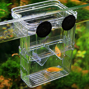 3 Sizes Double-layer Clear Fish Breeding Isolation Box Aquarium Fish Tank Hatching Incubator Fish House Wholesale