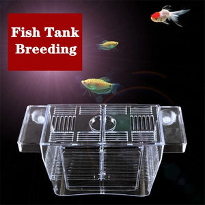 Transparent Acrylic Fish Tank Double Layer Breeding Isolation Box Aquarium Hatchery Incubator Holder