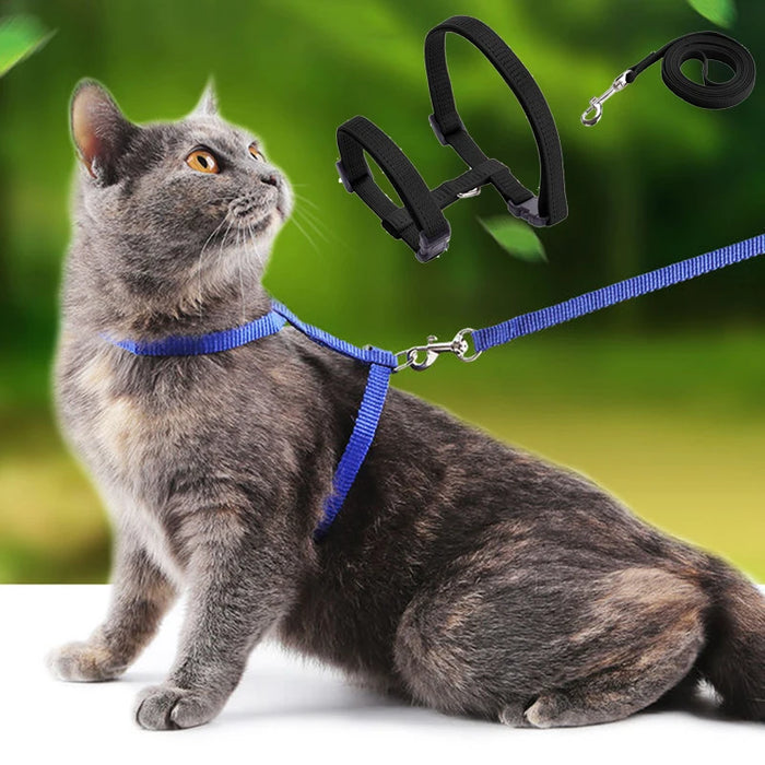 Cheap Sphynx Cat Harness and Leash Set Convenient Pet Harnesses for Cats Gotas Katten mascotas Accessories Outdoor Kedi Cat Lead