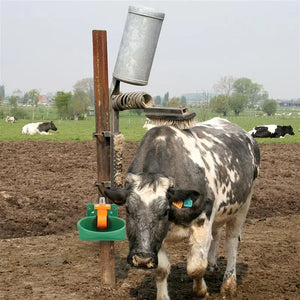 Sheep Livestock Water Fountain Outdoor Bowl For Cow Automatic Horse Waterer Dispenser Feeder Trough Tools Farmhouse Accessory