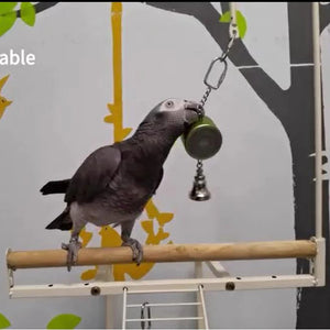 Bird Toys Parrot Talking Coach & Interactive Voice Bell Supplies  (Patent Pending, Latest Upgraded Version)