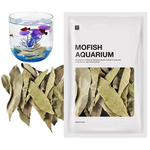 Natural Longan Leaves 50Pcs Aquarium Water Treatment aquarium leaf Leaves For Reduce P-H Softened Purified Water Quality