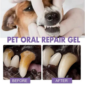 6ml Pet Teeth Cleaning Gel For Cats Dogs Teeth Cleaner Tartar Remover Oral Care Health Solution Pet Supplies