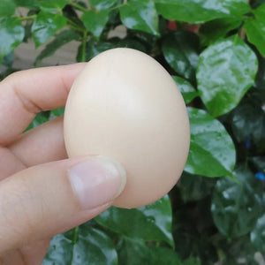 5/10PCS Hatching Egg Easter Hen Poultry Hatch Breeding Simulation Fake Plastic Artificial Eggs DIY Painting Egg Educational Toys