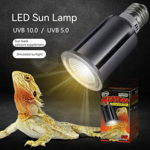 5.0/10.0 Full Spectrum Reptile Lamp Tortoise Lizard Basking UV Light UVA+UVB LED UV Sun Lamp Sunbathe Terrarium Heat Lamp