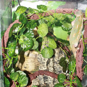 2/2.4m Artificial Leaves Reptiles Terrarium Plants Reptiles Habitat Decoration Pet Vine Climbing Supplies