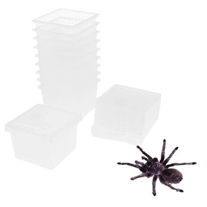 10 Pieces Insect Reptile Spider Terrariums Breeding Box Hatching Containers For Reptile Terrarium Spiders Frogs Snakes Supplies