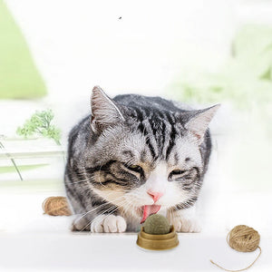 Natural Catnip Cat Wall Stick-on Ball Toy Treats Healthy Natural Removes Hair Balls to Promote Digestion Cat Grass Snack Pet