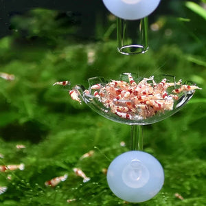 Shrimp Feeder Dish Shrimp Feed Dish Aquarium Fish Tank Shrimp Food Bowl Feeding Clear Glass Feeding Tube Dish Suction Accessory