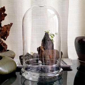 Creative Glass Cover Dome Glass Bottles Succulent Glass Vase Micro Succulent Moss Landscape Glass Terrarium Home Decoration