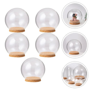 5pcs Dome Glass Cover Cake Mini Flower Display Cloche Bell Jar Hood Immortal Plantplate Dessert Base Holder Box Terrarium Flower