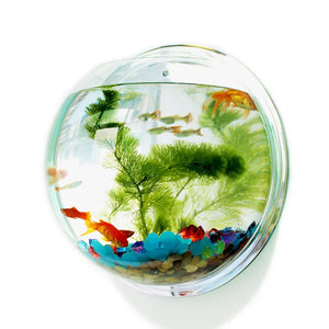 Pinsjar Acrylic Fish Bowl Wall Hanging Aquarium Tank Aquatic Pet Supplies Pet Products Wall Mount Fish Tank for Betta fish