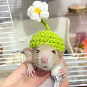 1pcs Bird Hat Small Animals Lovely Hand Knitted Hats for Hamster Lizard Guinea Pig Reptile Party Clothes Costume Pet Caps