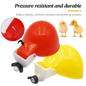 Chicken Drinking Cups, Automatic Farm Poultry Goose Duck Waterer Drinking Bowls, Plastic Water Dispenser Feeder Equipment 5 Pcs