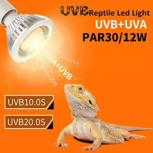 Reptile UVA+UVB Lamp Bulb Turtle Basking UV Light Bulbs Heating Lamp Lizard Bearded Dragon Terrarium Temperature Controller