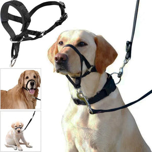 Nylon Dog Muzzle Adjustable Anti-barking Anti-bite Harness Head Collar Muzzle Dog Halter Training Leash Leader Classic Collar