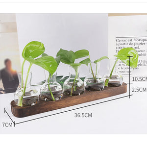 Hydroponic Plants Container Plant Glass Test Tube Terrariums Vase in Wooden Stand Flower Pots Hydroponic Plants Test Tube Vase