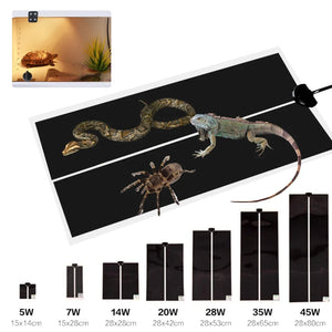 Heating Hot Pad Adjustable Temperature Controller Incubator Mat Tools Terrarium Reptiles Thermal Mat 5-45W Climbing Pet 001