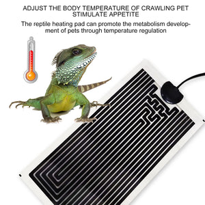 Terrarium Aquarium Reptiles Heat Mat Climbing Pet Heating Warm Pads Adjustable Temperature Controller Mats Reptiles Supplies