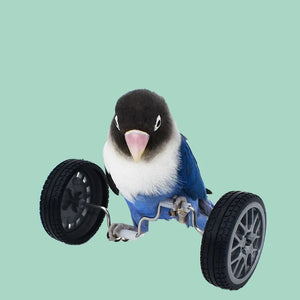 Parrot Balance Car Deboring Toys Small And Medium-Sized Bird Supplies Roller Skateboard Skill Training Props Phoenix Bird Toys