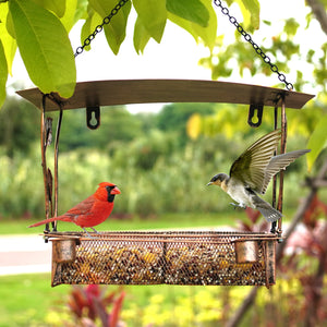 Metal Window Bird Feeder - Antique Bronze Hanging Bird Feeding Supplies - Decorative Outdoor Bird Feeder for Garden Window Patio